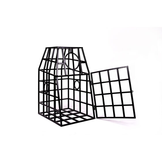 slave cage