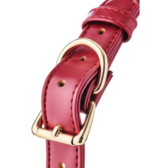 Blaze Elite rød gagball