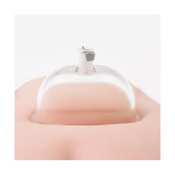 Temptasia Intense Pussy Pump System