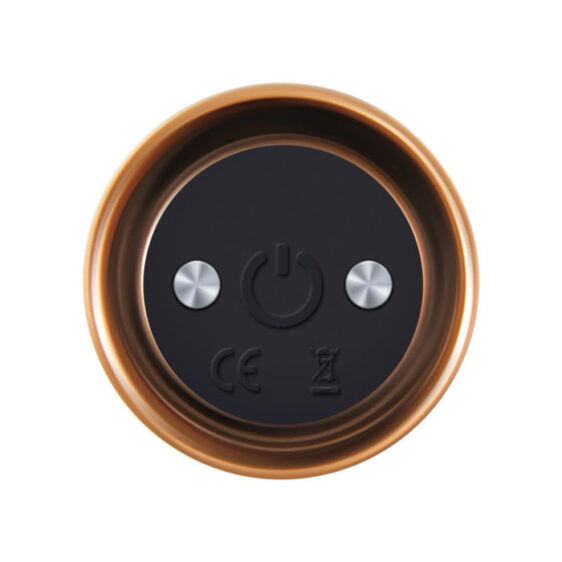 Four Play Vibrator Set