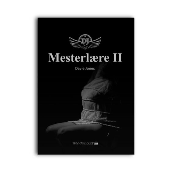 Mesterlære II - erotiske noveller af Davie Jones