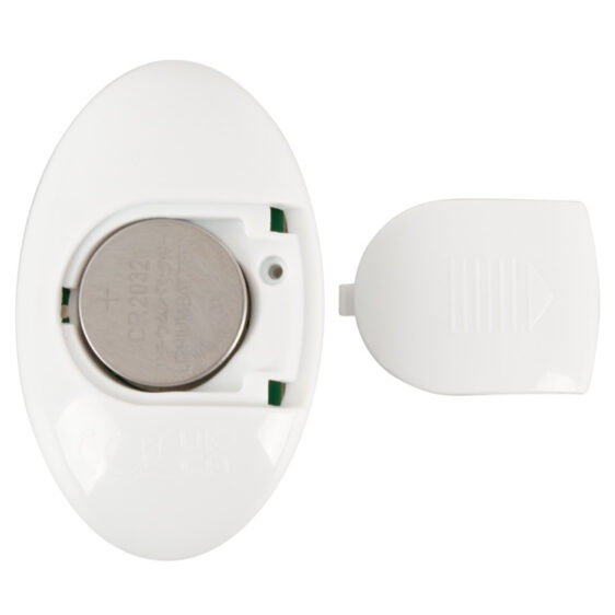 RC Rotating Butt Plug