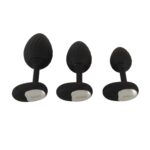RC Butt Plug Sæt med Vibration3 RC Butt Plug Sæt med Vibration