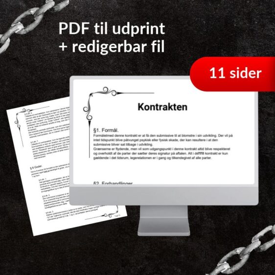 BDSM Kontrakt1